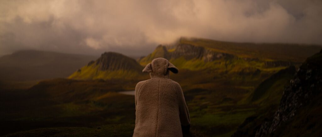 120 In20520 Sheep primary Still 01