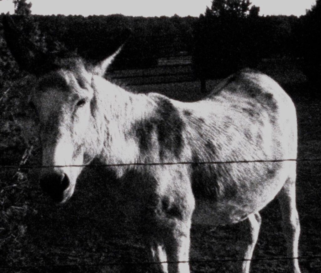 Screenshot 2025 11 12 at 18 50 43