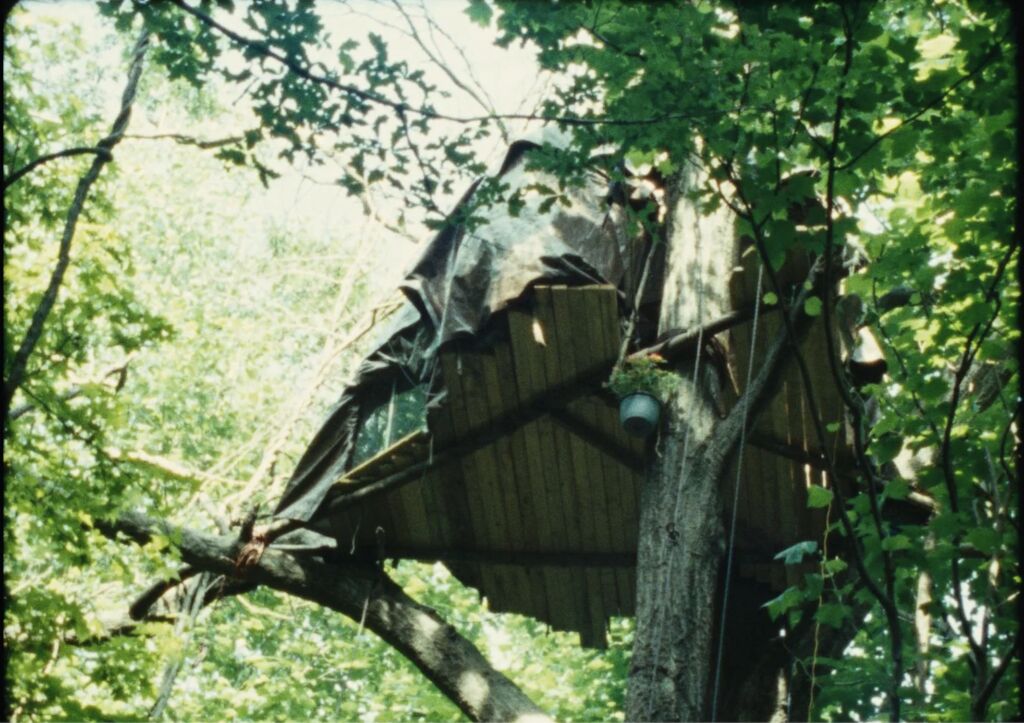 Beneaththe Concrete The Forest