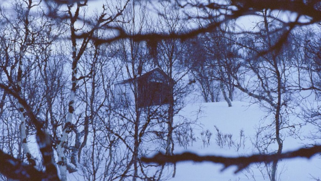 The Girl Looking for the Cabin