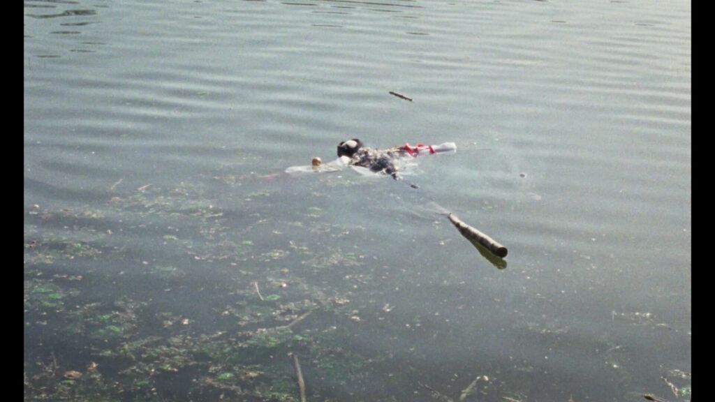 AGATA20dir 20by20 Benedetta20 Fiore primary Still 01