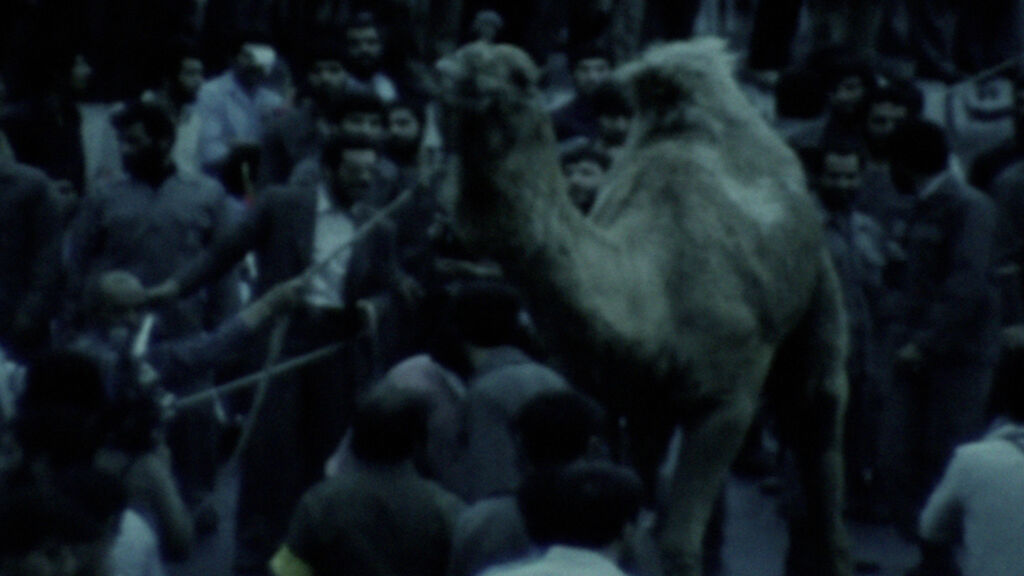 Besmel Wildest Grief Gamze Sanli