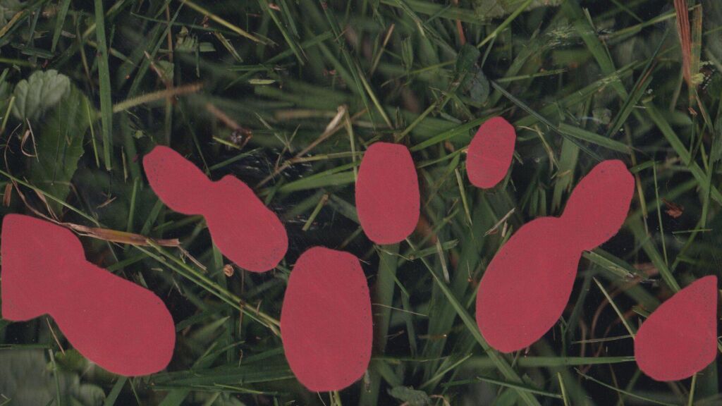 Green20 Lung primary Still 01