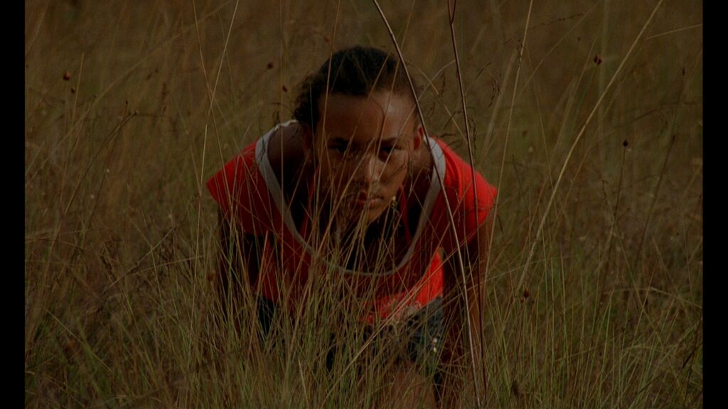 Ha Terra The Anti Narrativeof Finished Decolonisation Alaa Belkis Nouasri