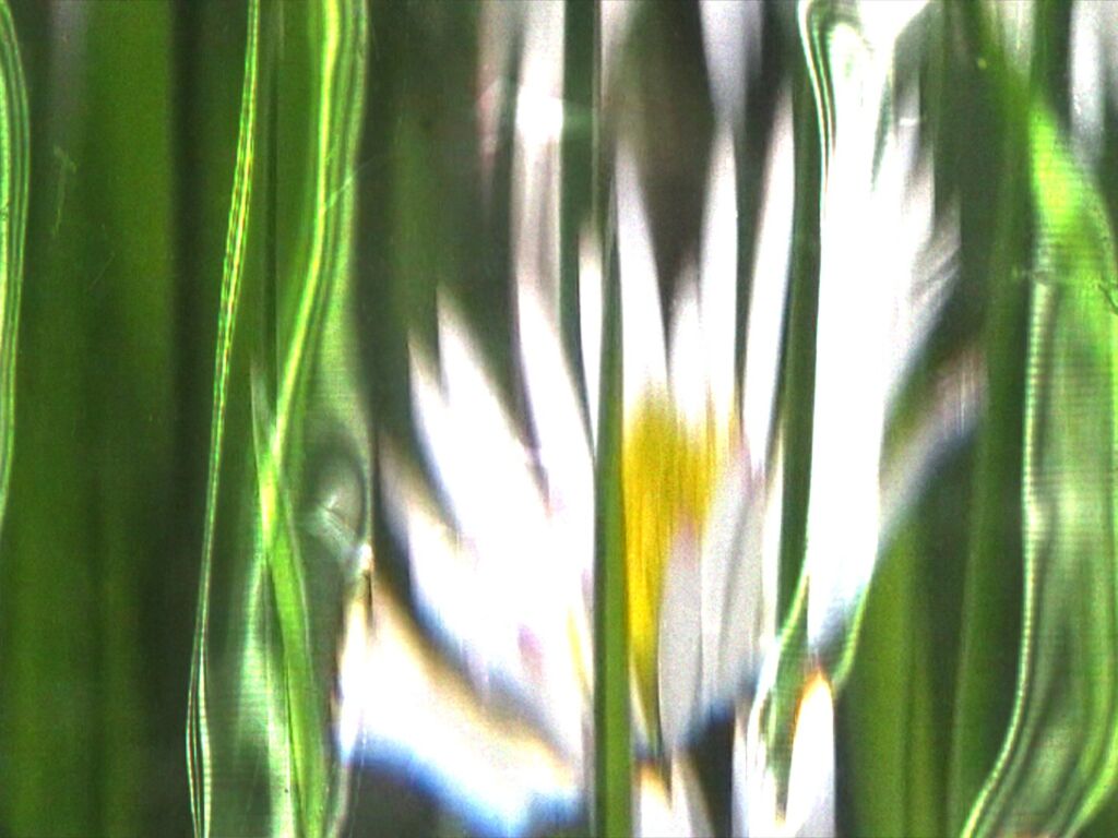 Losing20 Touch primary Still 01