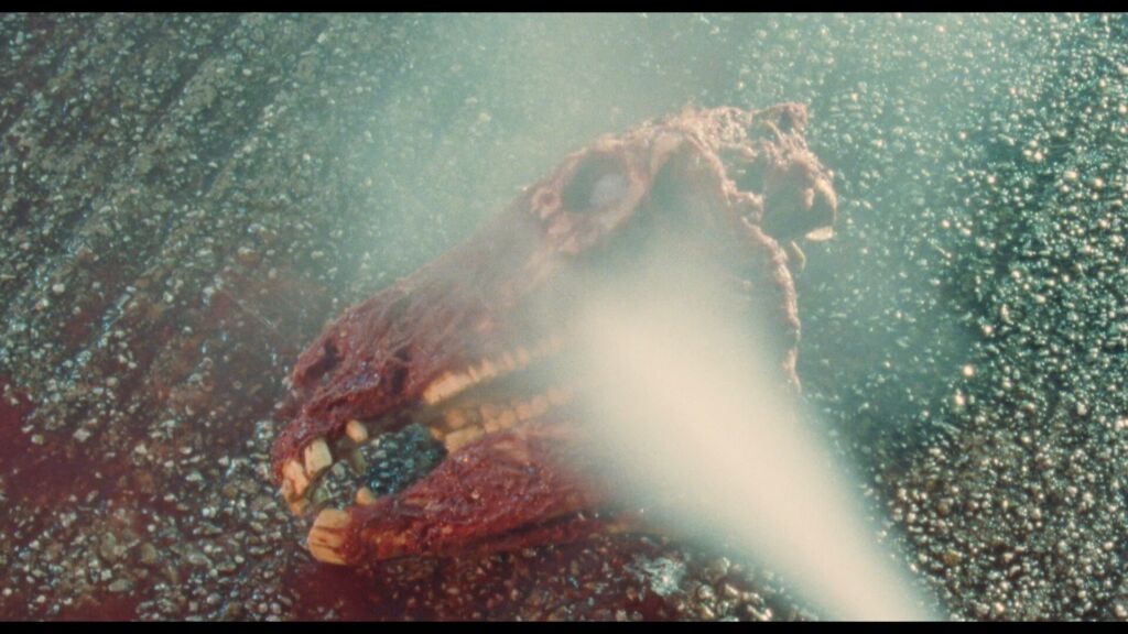 PEN20 MARI primary Still 01