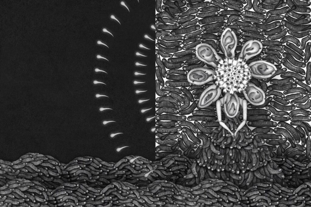 POINT primary Still 01