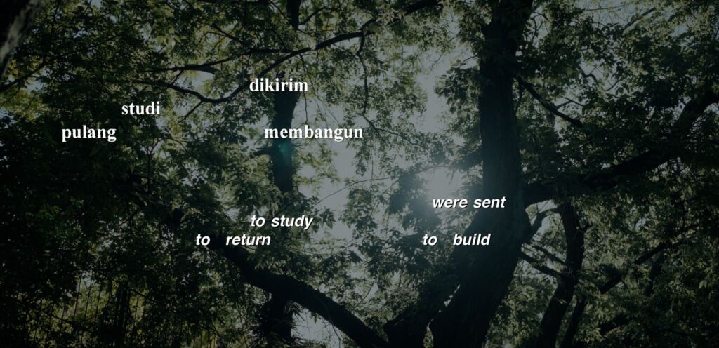 Perfected20 Grammar primary Still 01