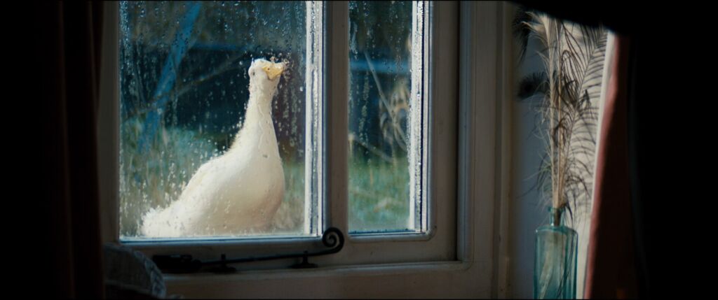 The20 Quackening primary Still 01