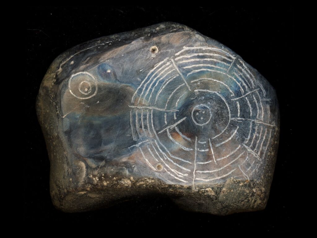 Witness20 An20 Organima20 Film primary Still 01