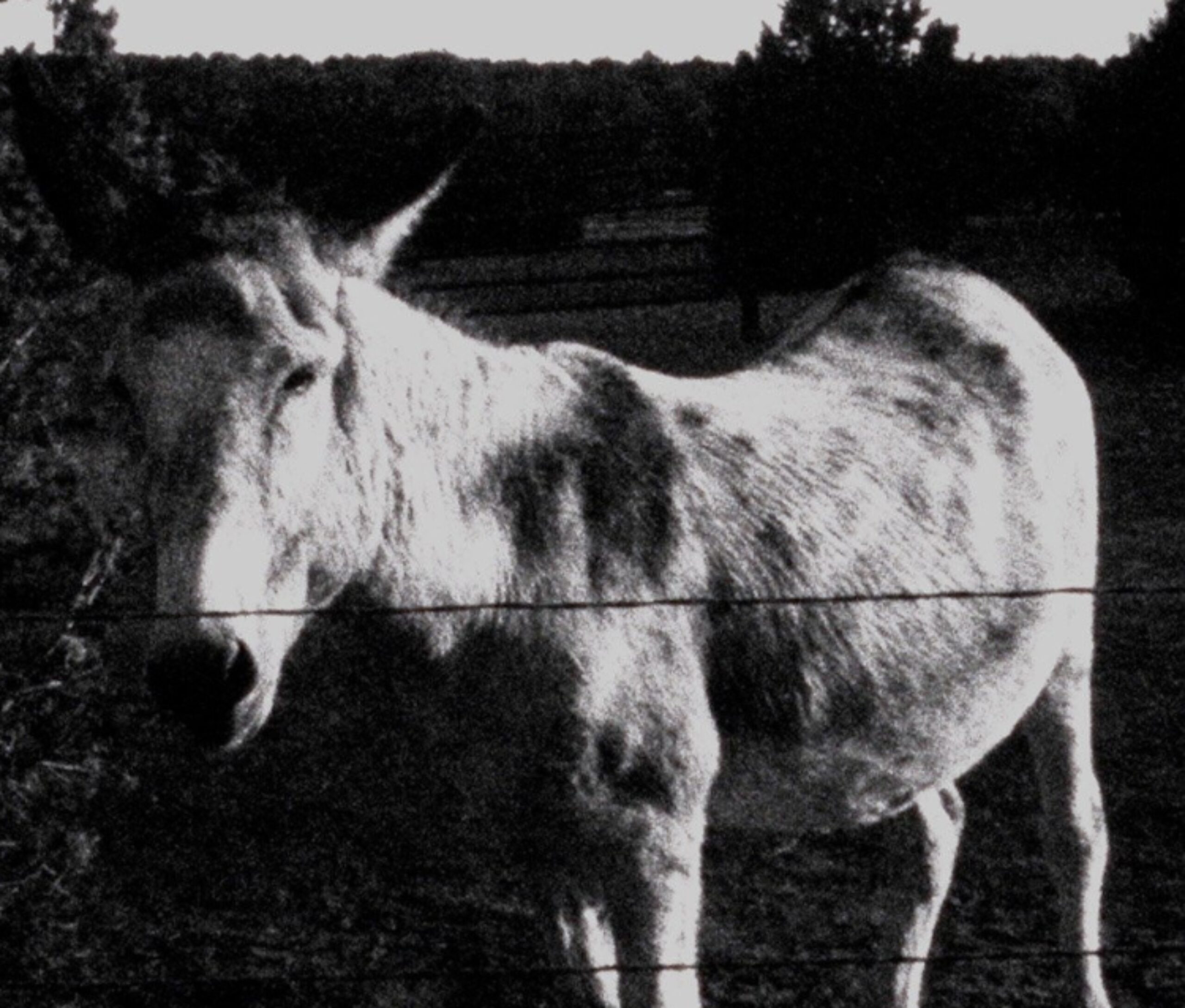 Screenshot 2025 11 12 at 18 50 43