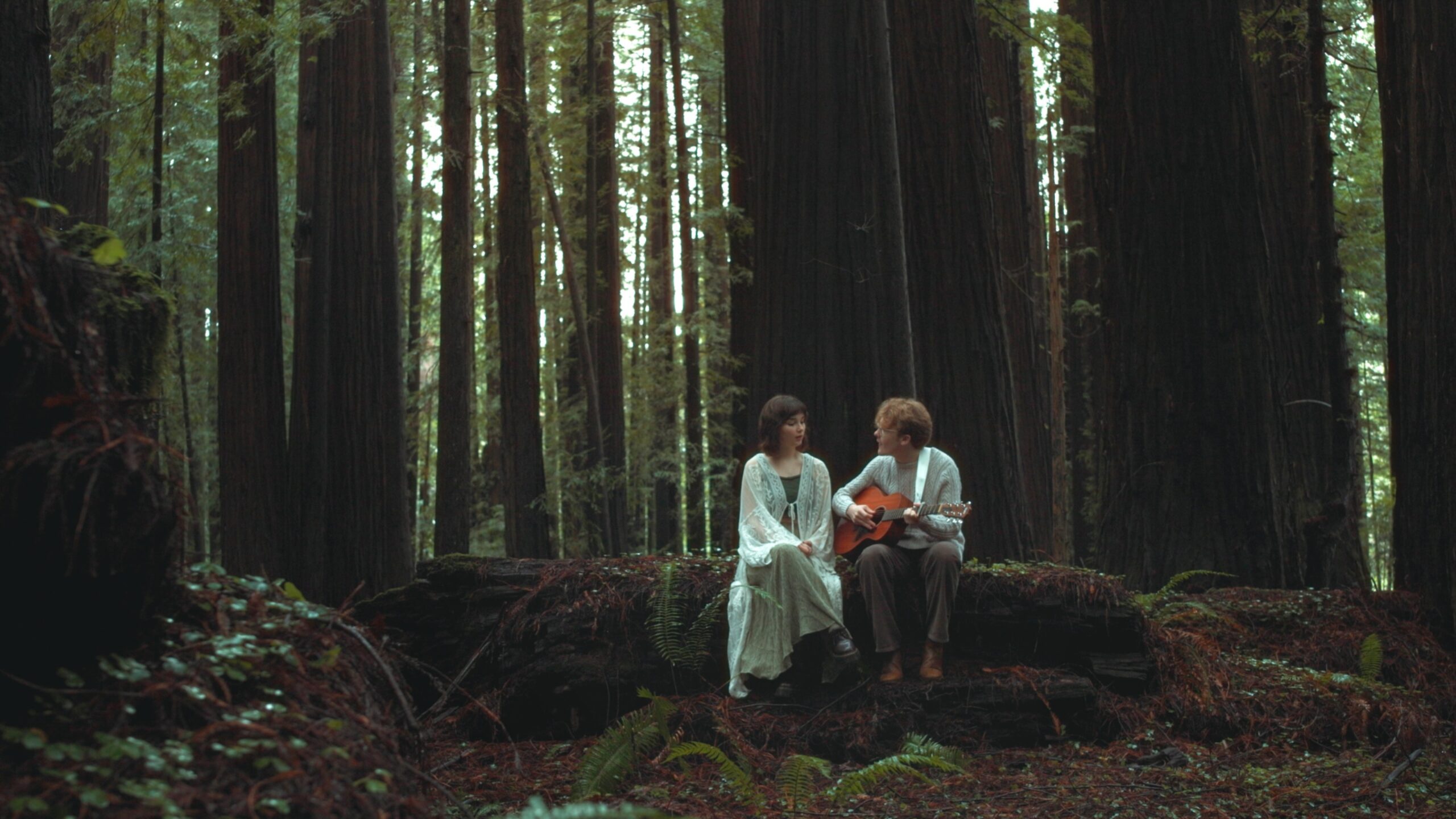 Paving Paradise Climate Control