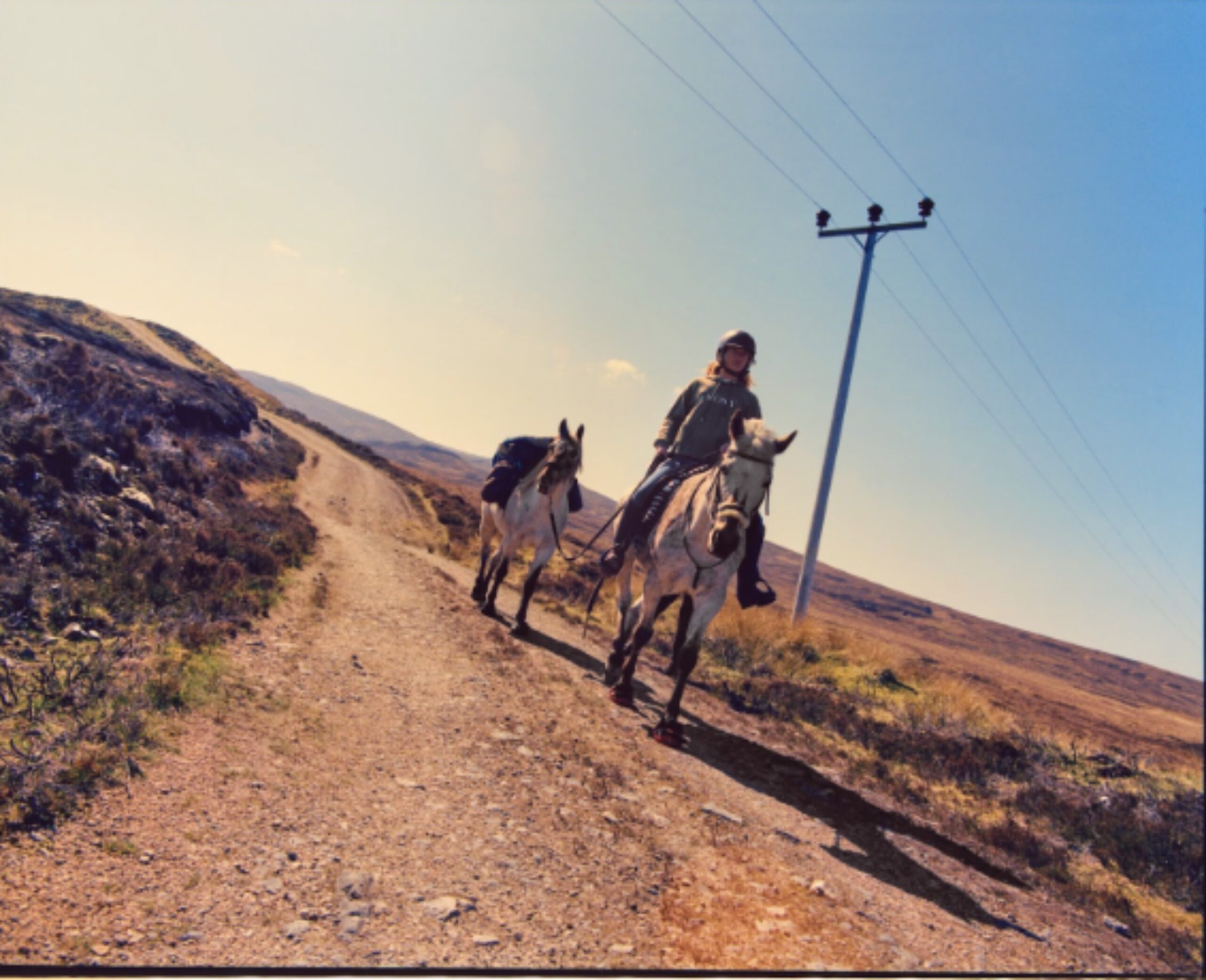 White Horses Not Her First Rodeo Ava Di Gregorio