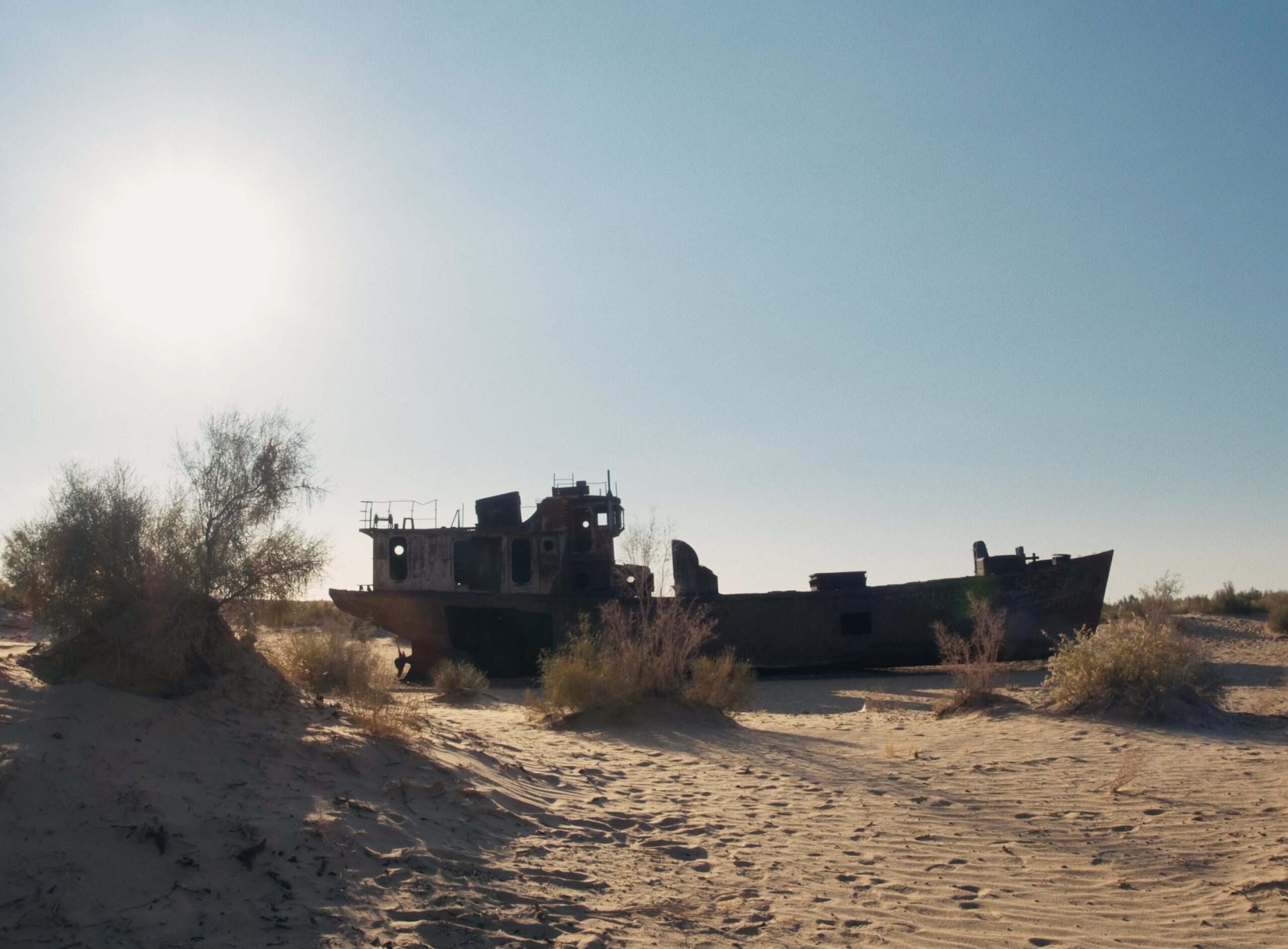 ARALKUM Misha Zakharov