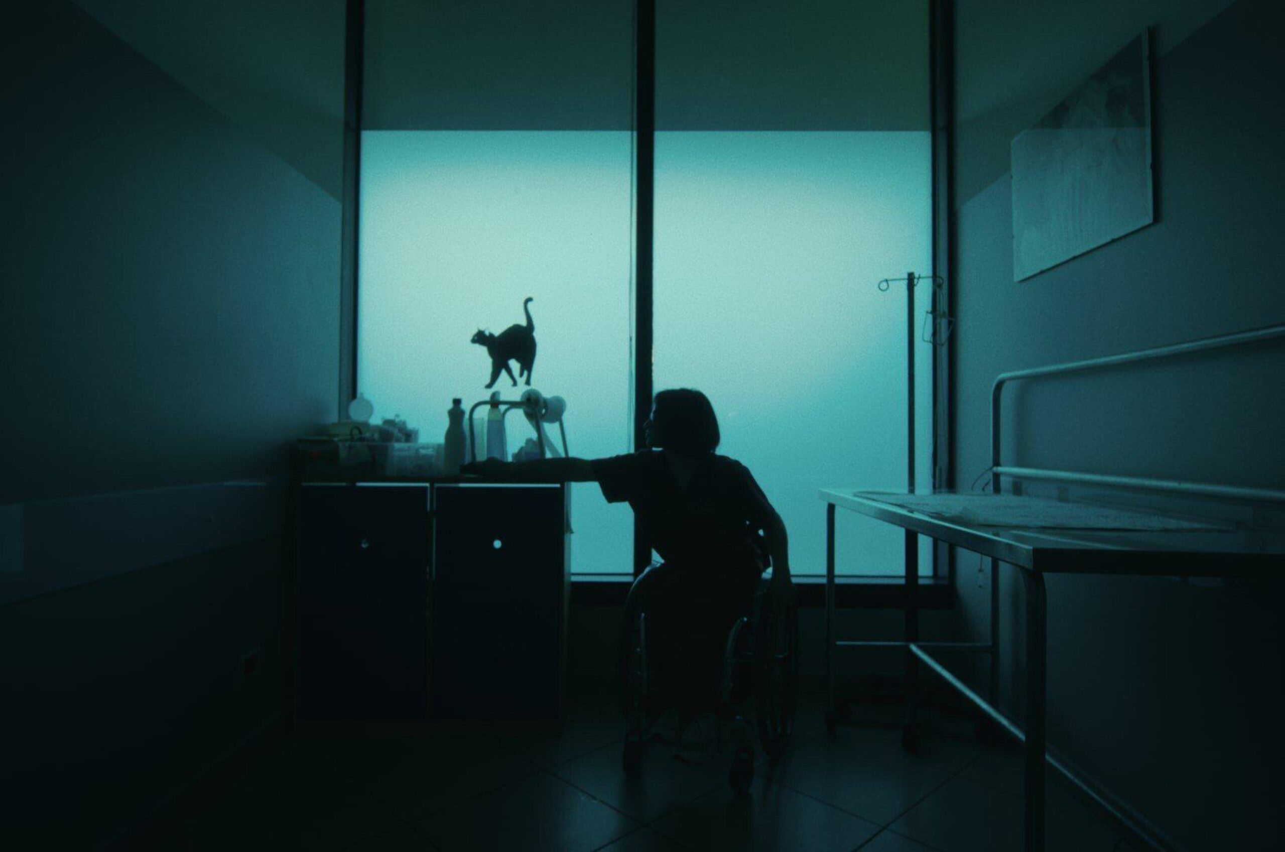 Devotee20 Sub20 Eng primary Still 01