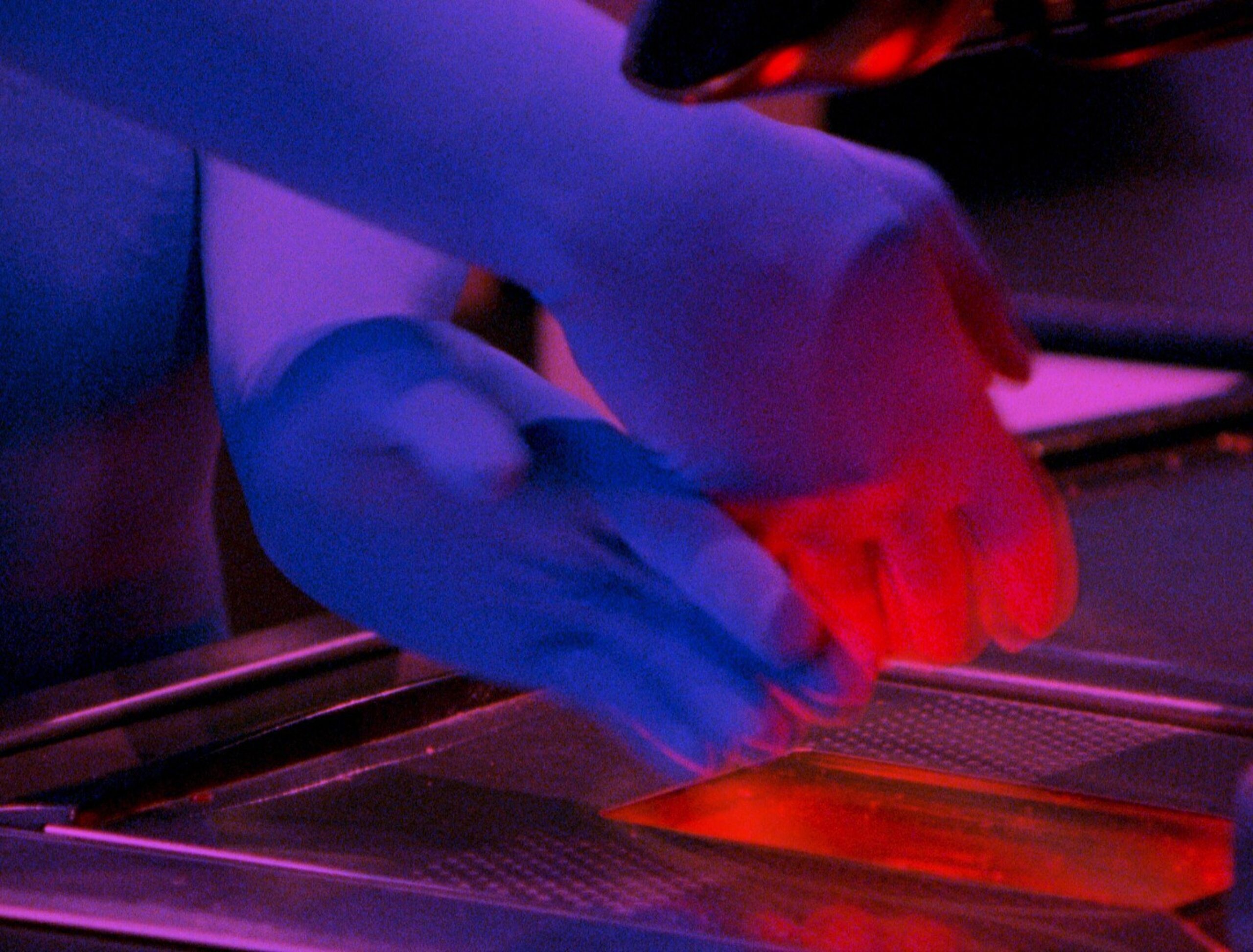 Fresh20 Values primary Still 01