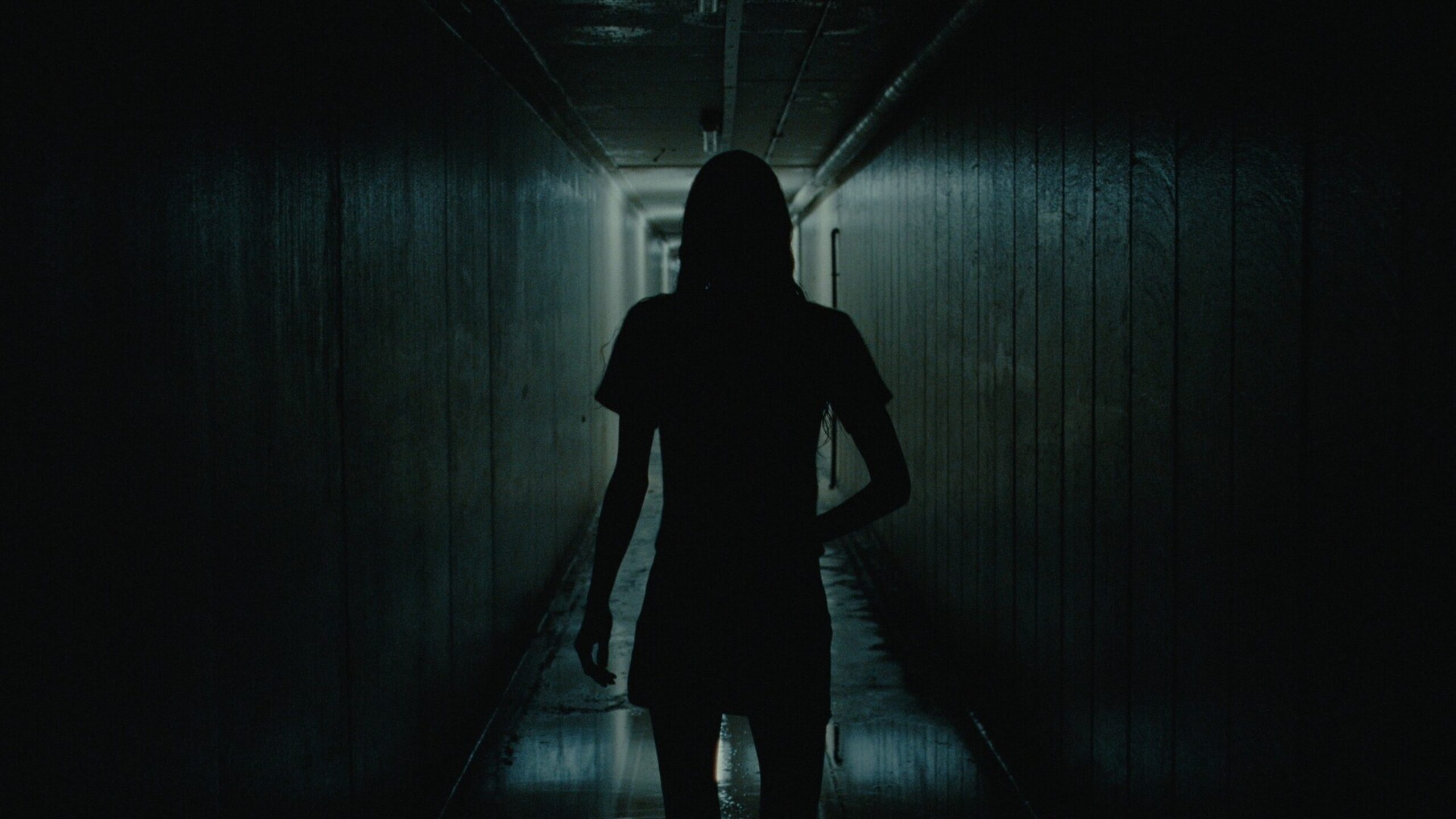 Gossamer primary Still 01