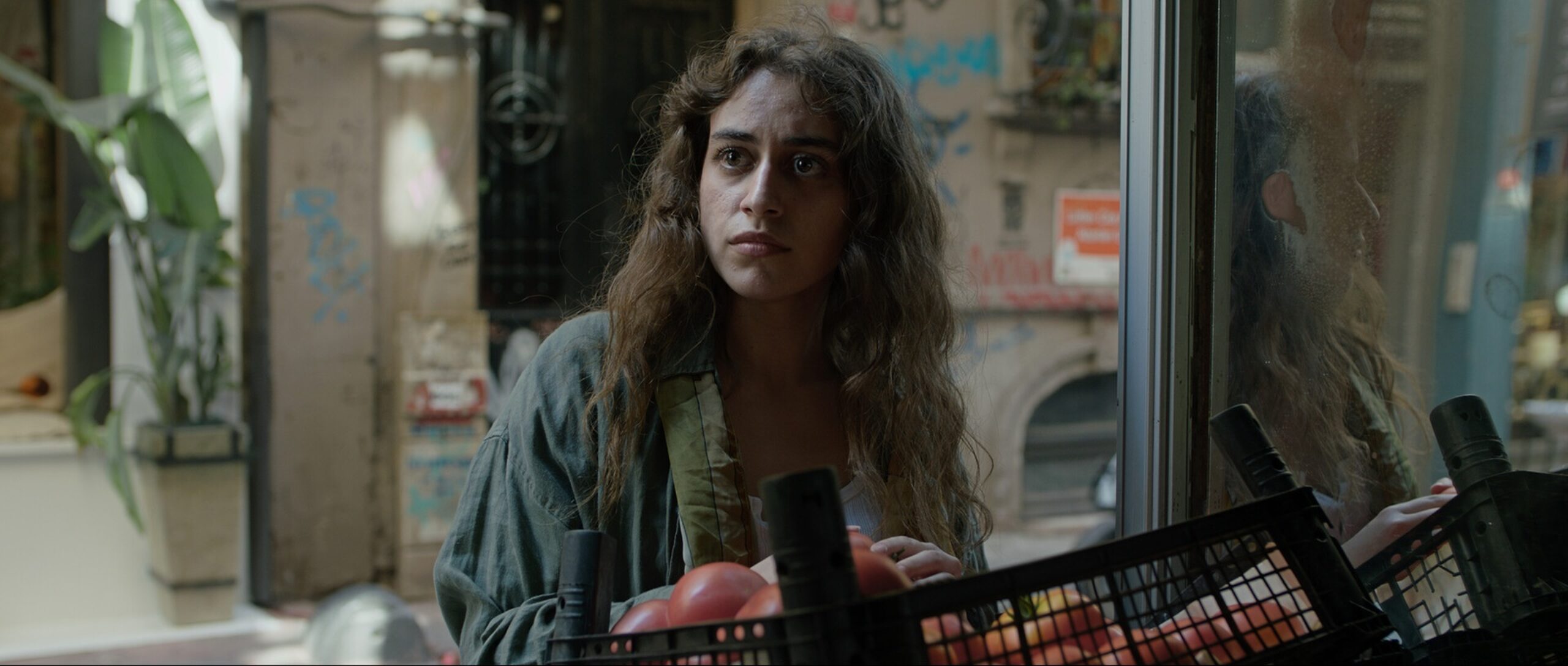 Krizalit primary Still 01