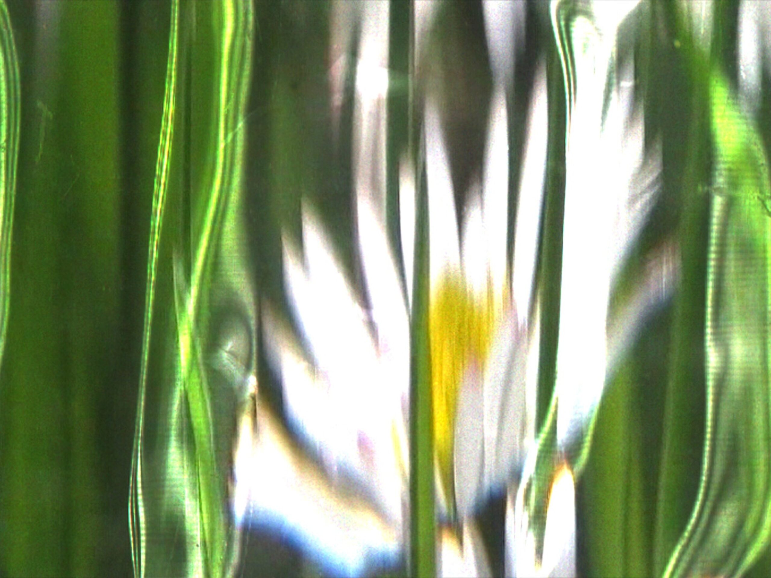 Losing20 Touch primary Still 01