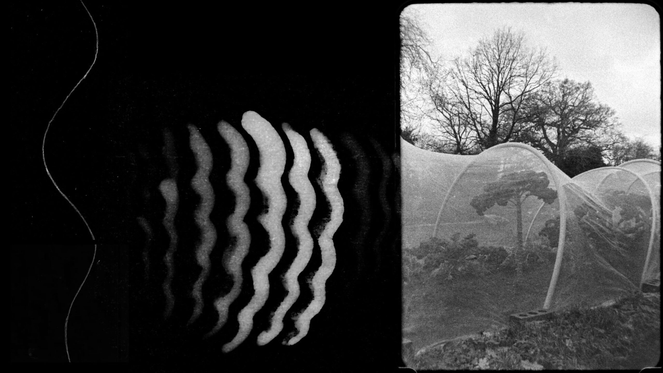 On20 Hannah20 Fields primary Still 01