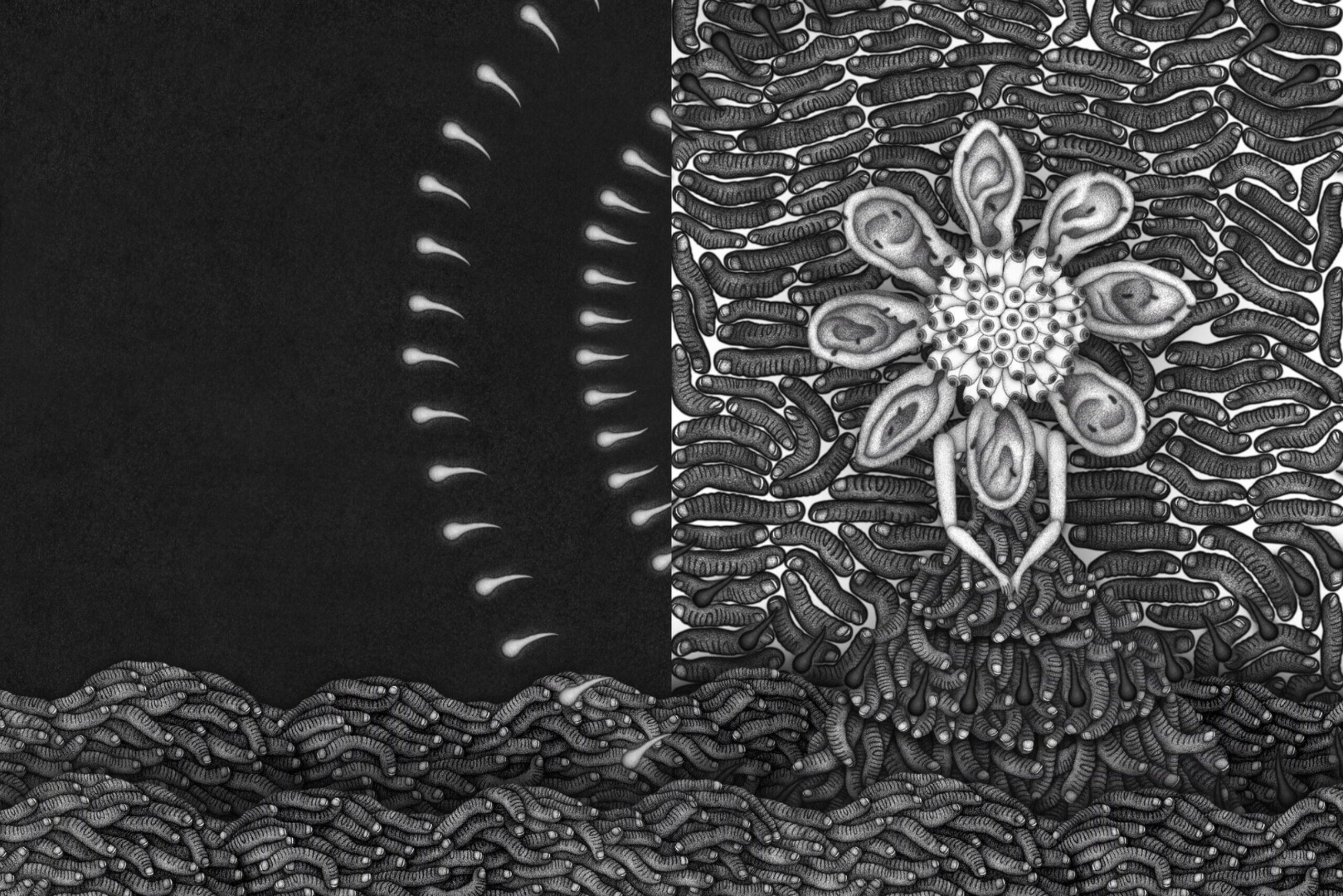 POINT primary Still 01