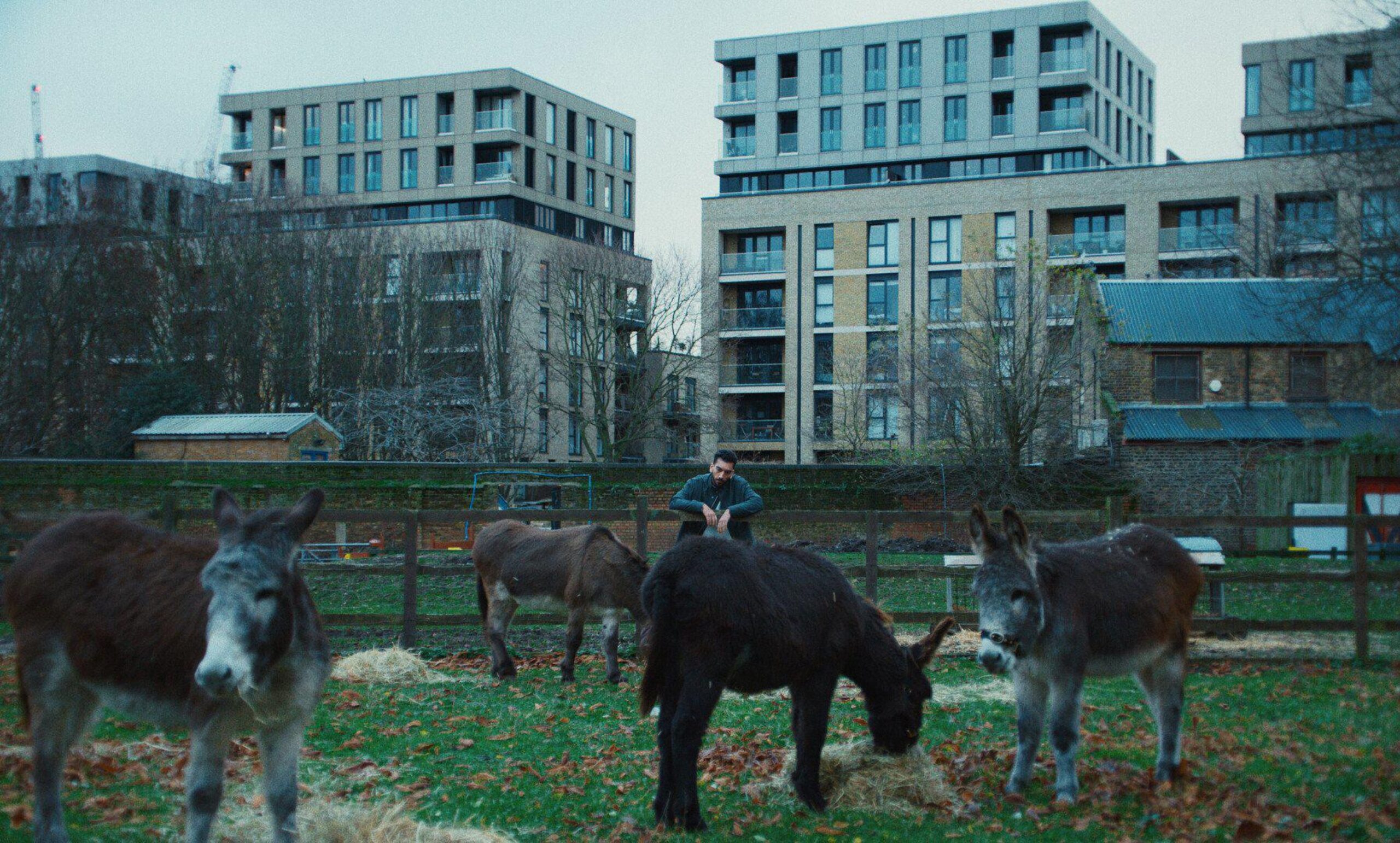 Party20 Animal primary Still 01