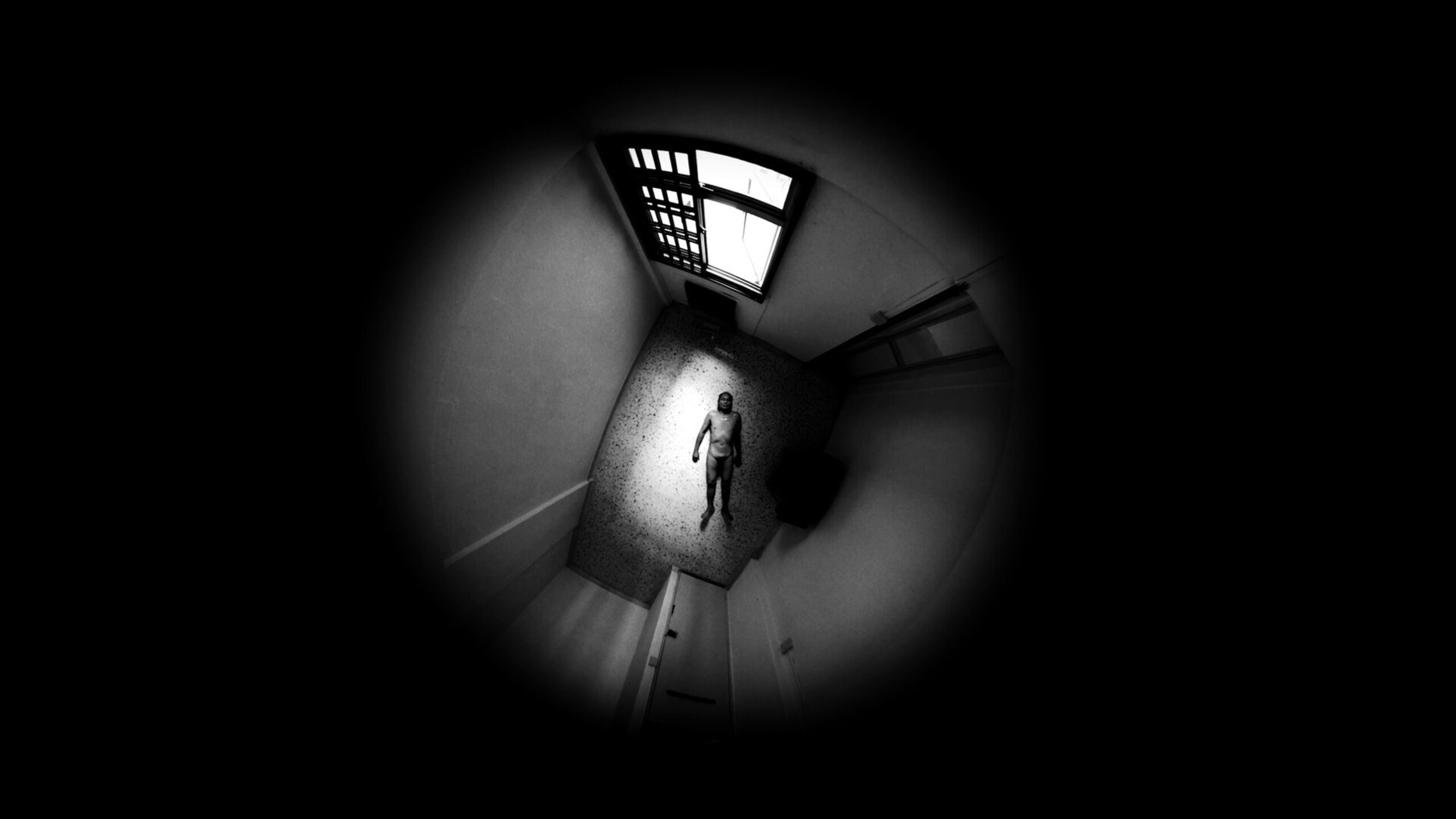 Seismic20 Brain20 Implosion primary Still 01