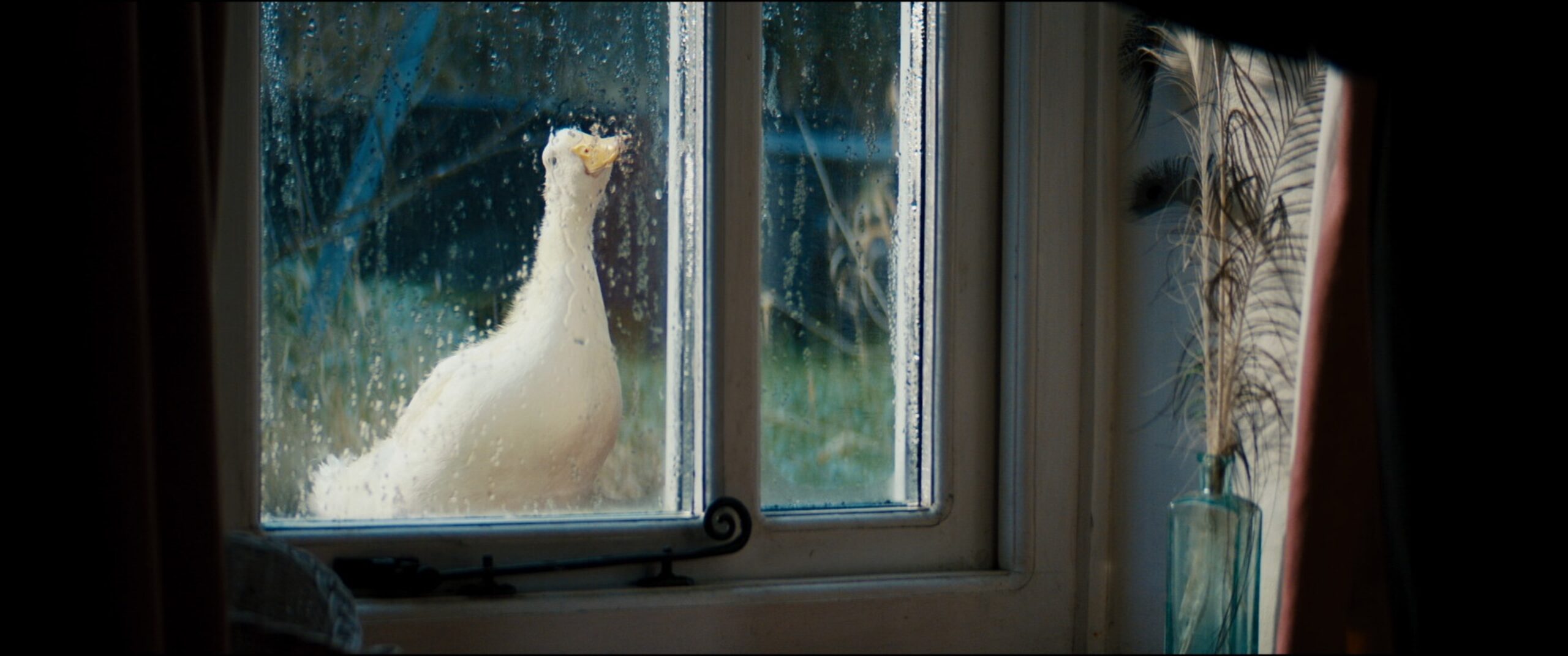 The20 Quackening primary Still 01