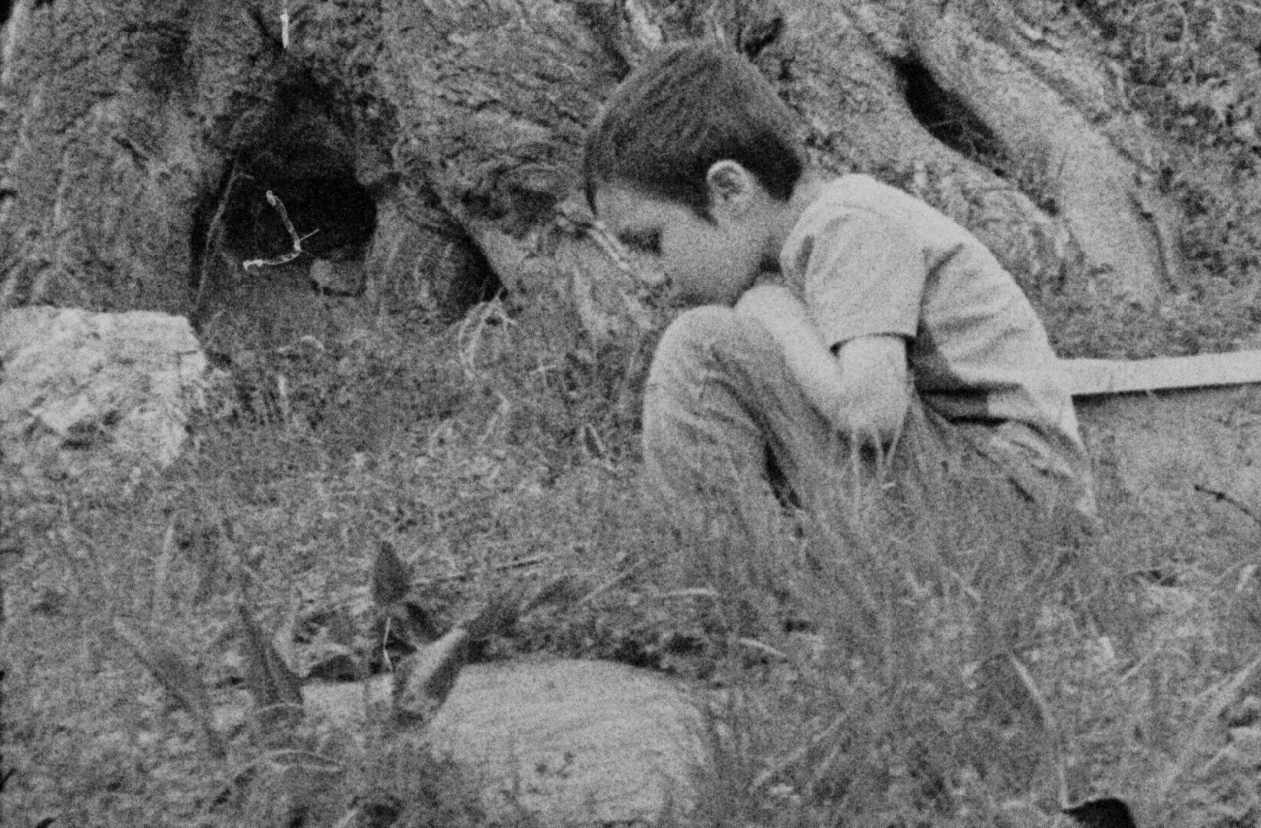 The20 Walnut20of20 Knowledge primary Still 01